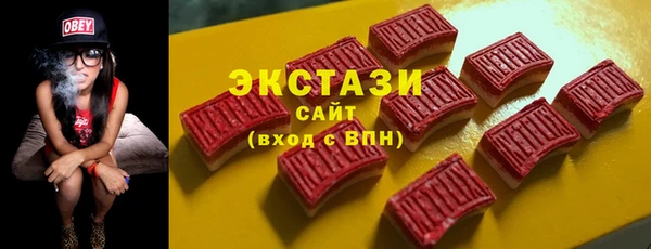 индика Верхний Тагил