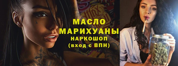 индика Верхний Тагил