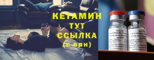 индика Верхний Тагил