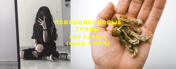apvp Верея