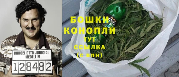 индика Верхний Тагил