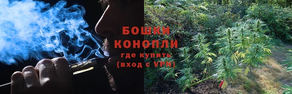 apvp Верея