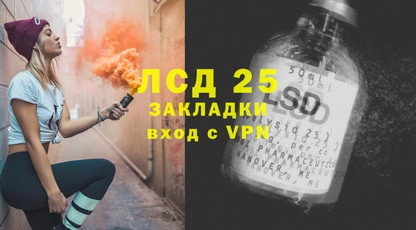 индика Верхний Тагил