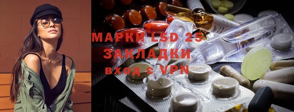 индика Верхний Тагил