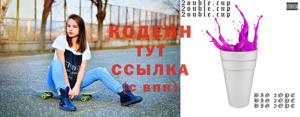 индика Верхний Тагил