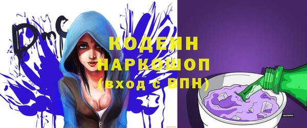 apvp Верея