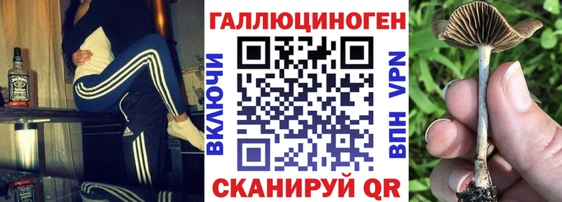 Псилоцибиновые грибы Psilocybine cubensis  Купить закладки  Нижневартовск 